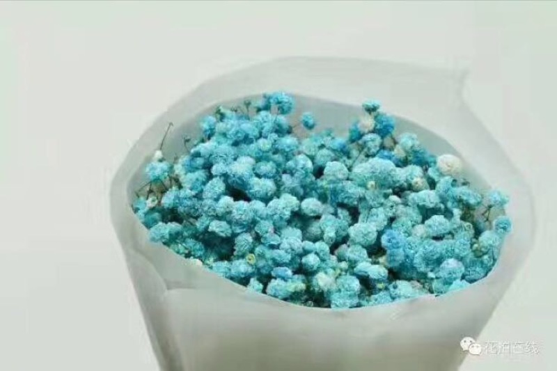 满天星
