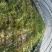 8424、美都西瓜大棚种植口感佳，甜度高