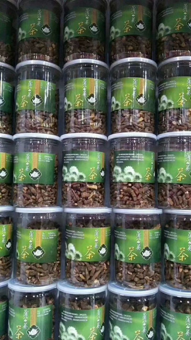 蒲公英茶500g长白山新鲜蒲公英叶根养天然非特级野生花草