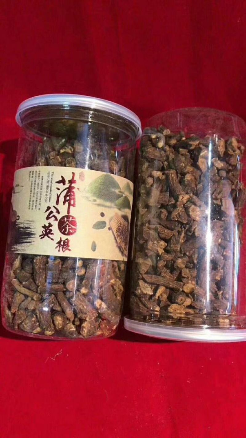 蒲公英茶500g长白山新鲜蒲公英叶根养天然非特级野生花草