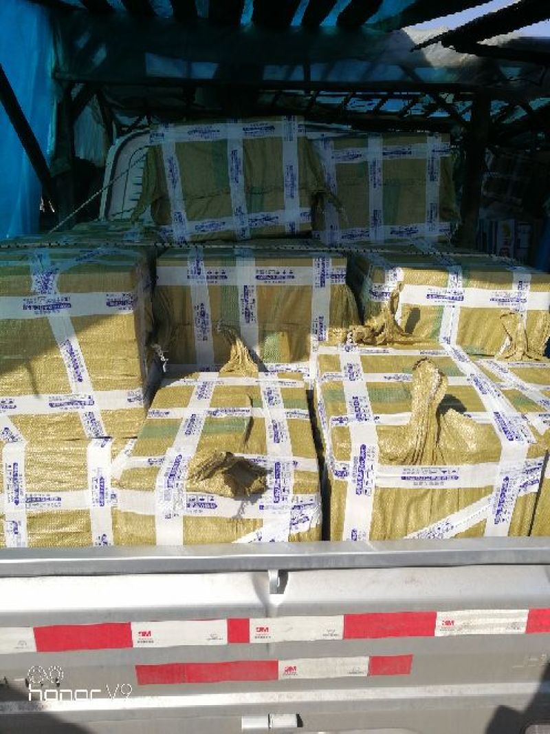 蒲公英茶500g长白山新鲜蒲公英叶根养天然非特级野生花草