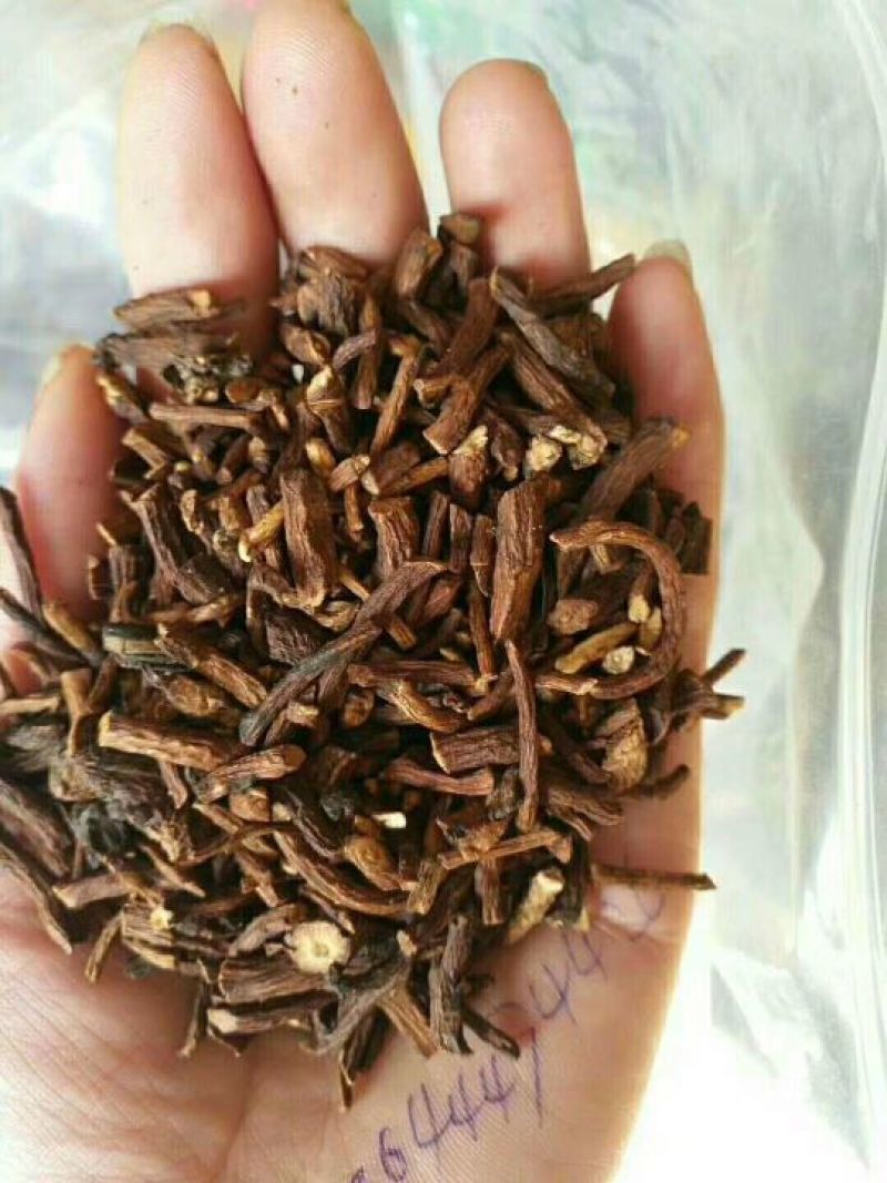 蒲公英茶500g长白山新鲜蒲公英叶根养天然非特级野生花草