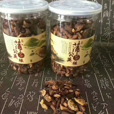 蒲公英茶500g长白山新鲜蒲公英叶根养天然非特级野生花草