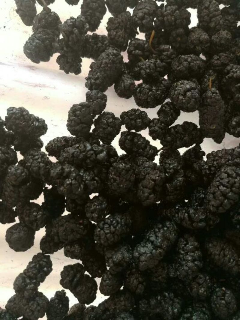 新疆黑桑葚干，颗粒饱满，干净无沙，大量有货！
