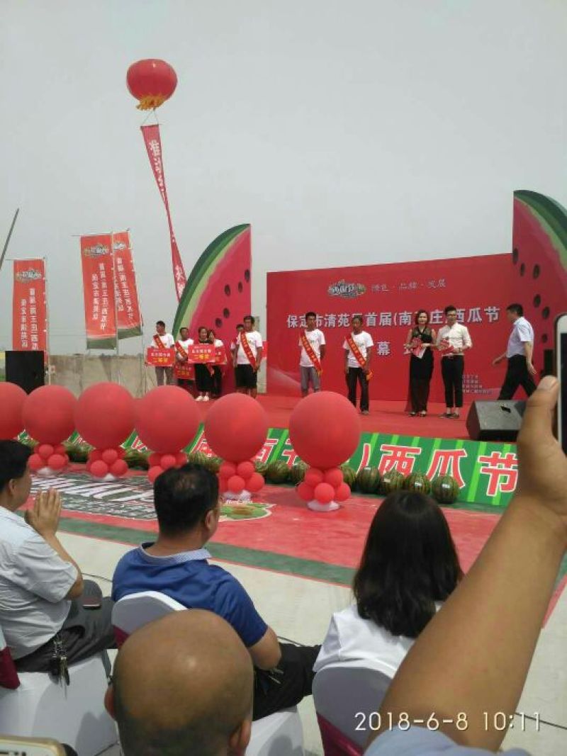 京欣系列西瓜