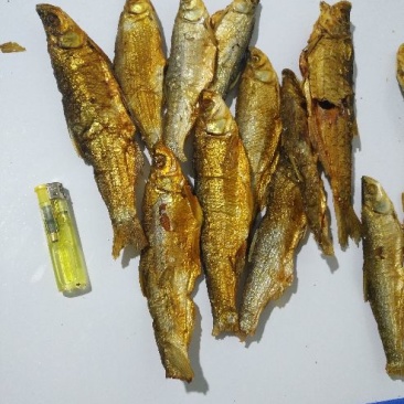 鱼干白条鱼干货十公分左右