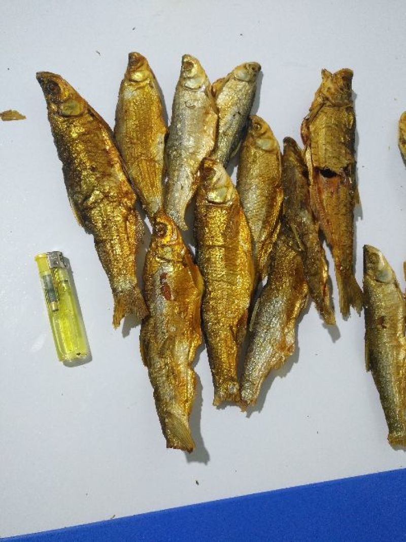 鱼干白条鱼干货十公分左右