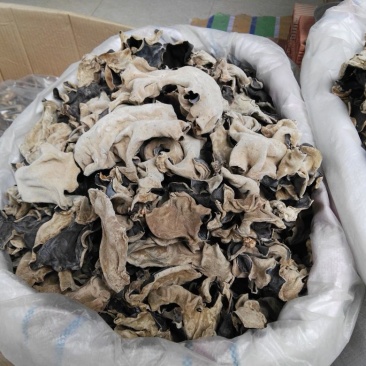 毛木耳水木耳黑木耳头荘批发直销