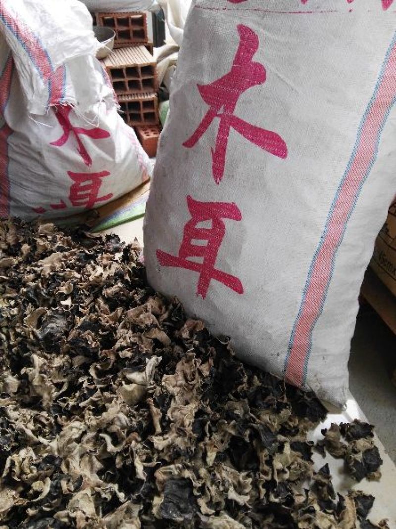 毛木耳水木耳黑木耳头荘批发直销