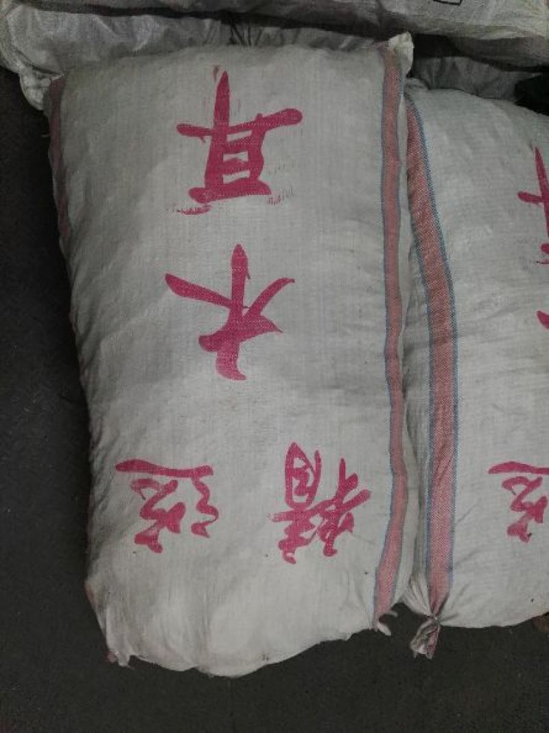 毛木耳水木耳黑木耳头荘批发直销