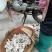 野生菌