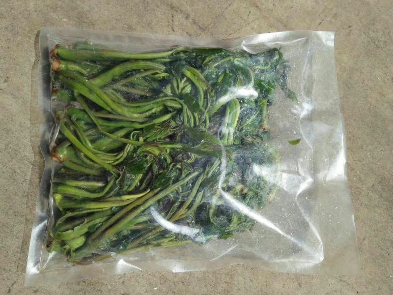 鲜香椿芽
