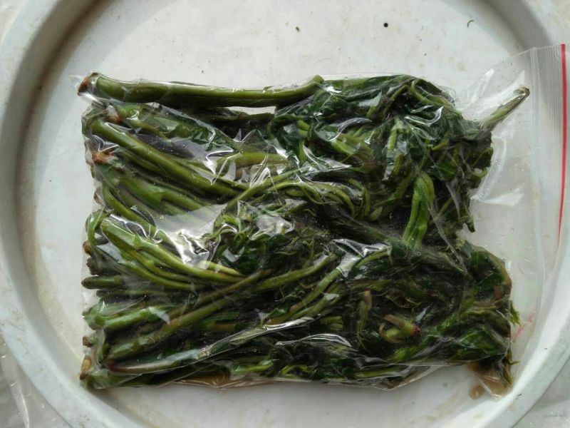 鲜香椿芽