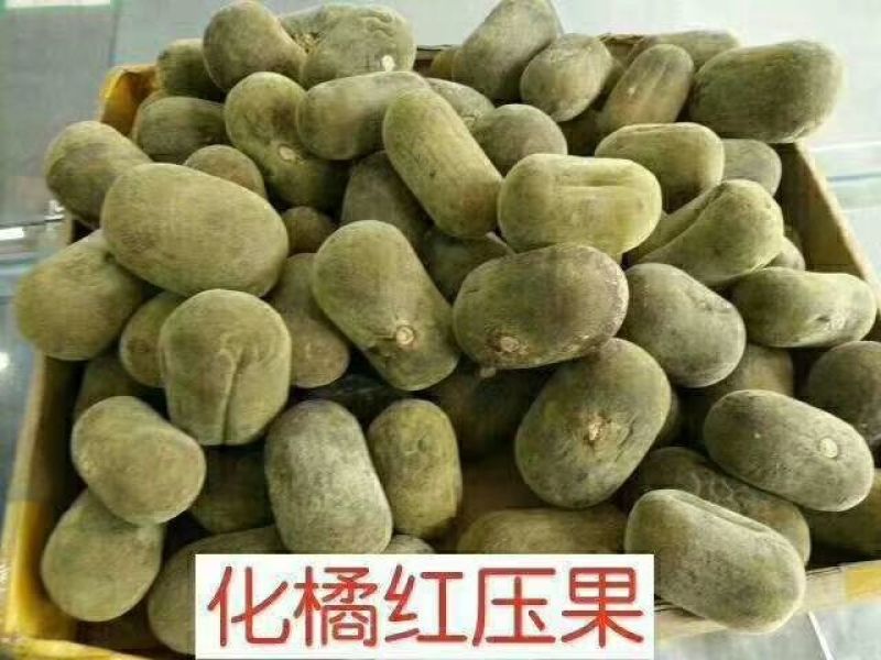 化橘红产地直发一手货源规格齐全，量大从优