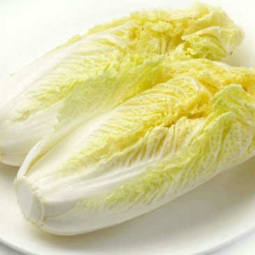 黄心白菜