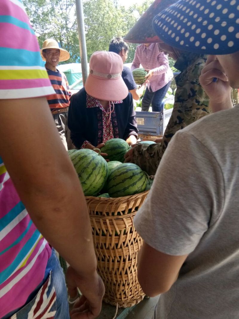花皮西瓜