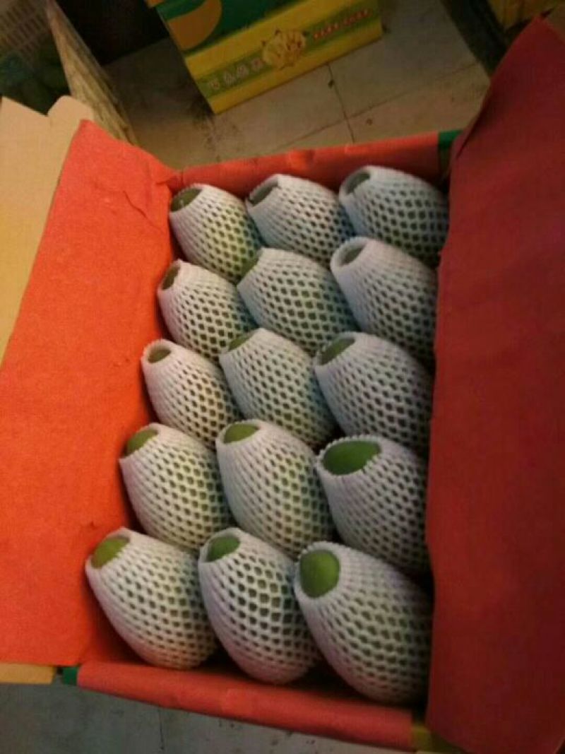 百色万亩果园