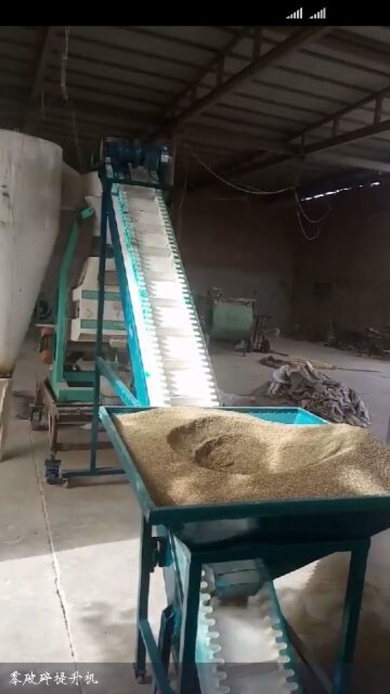 小茴香新疆吐鲁番孜然小茴香