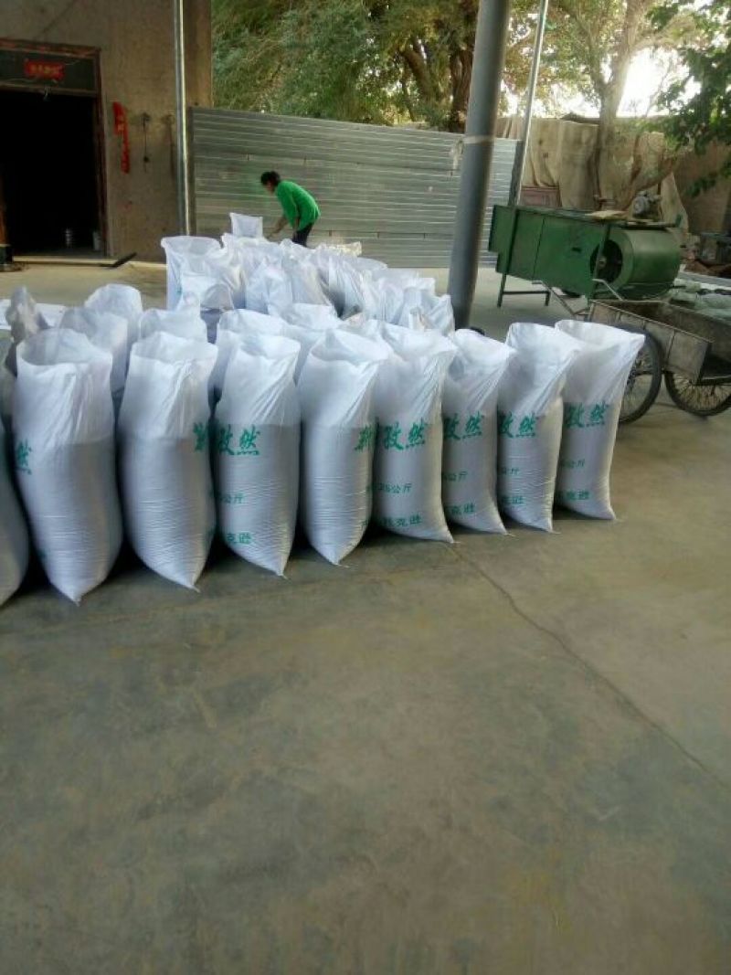 小茴香新疆吐鲁番孜然小茴香
