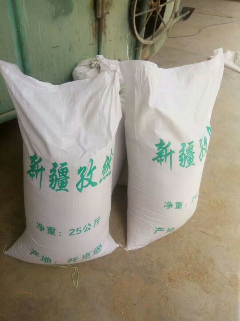 小茴香新疆吐鲁番孜然小茴香