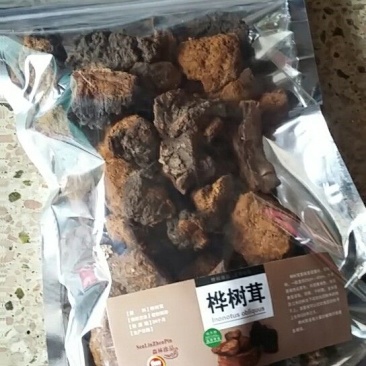 东北野生桦树黄，桦树泪，桦树茸，桦褐孔菌。