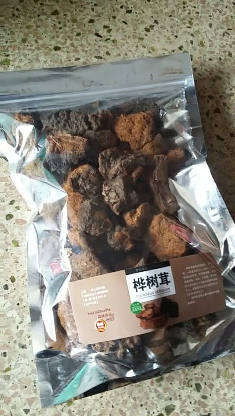 东北野生桦树黄，桦树泪，桦树茸，桦褐孔菌。