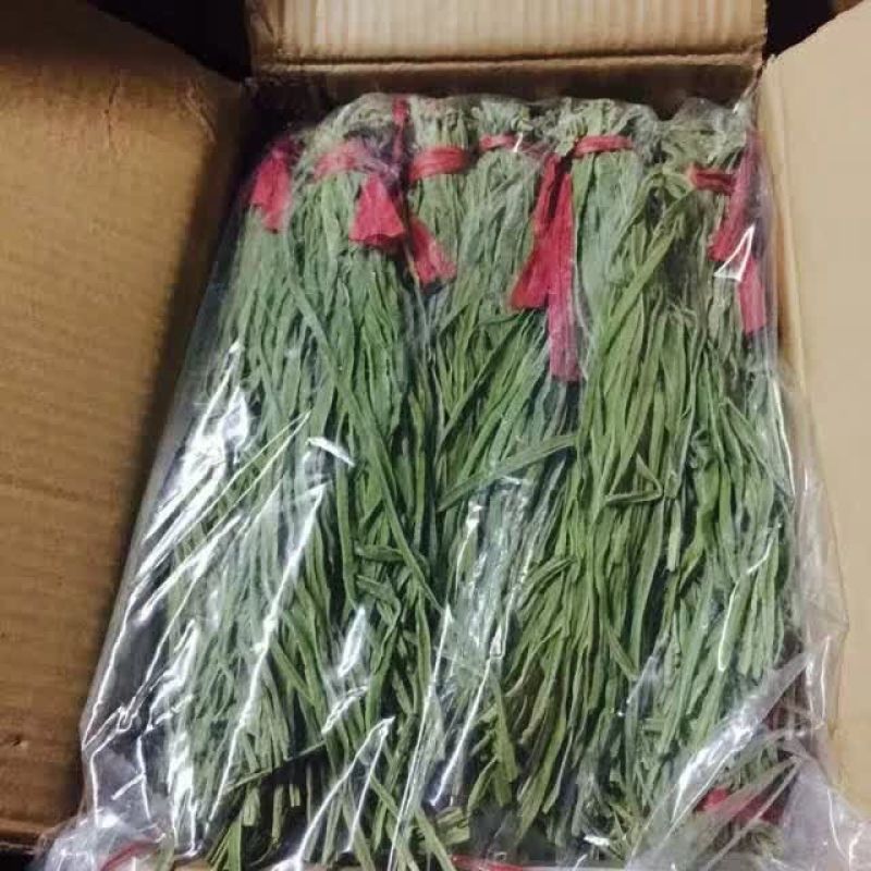 贡菜