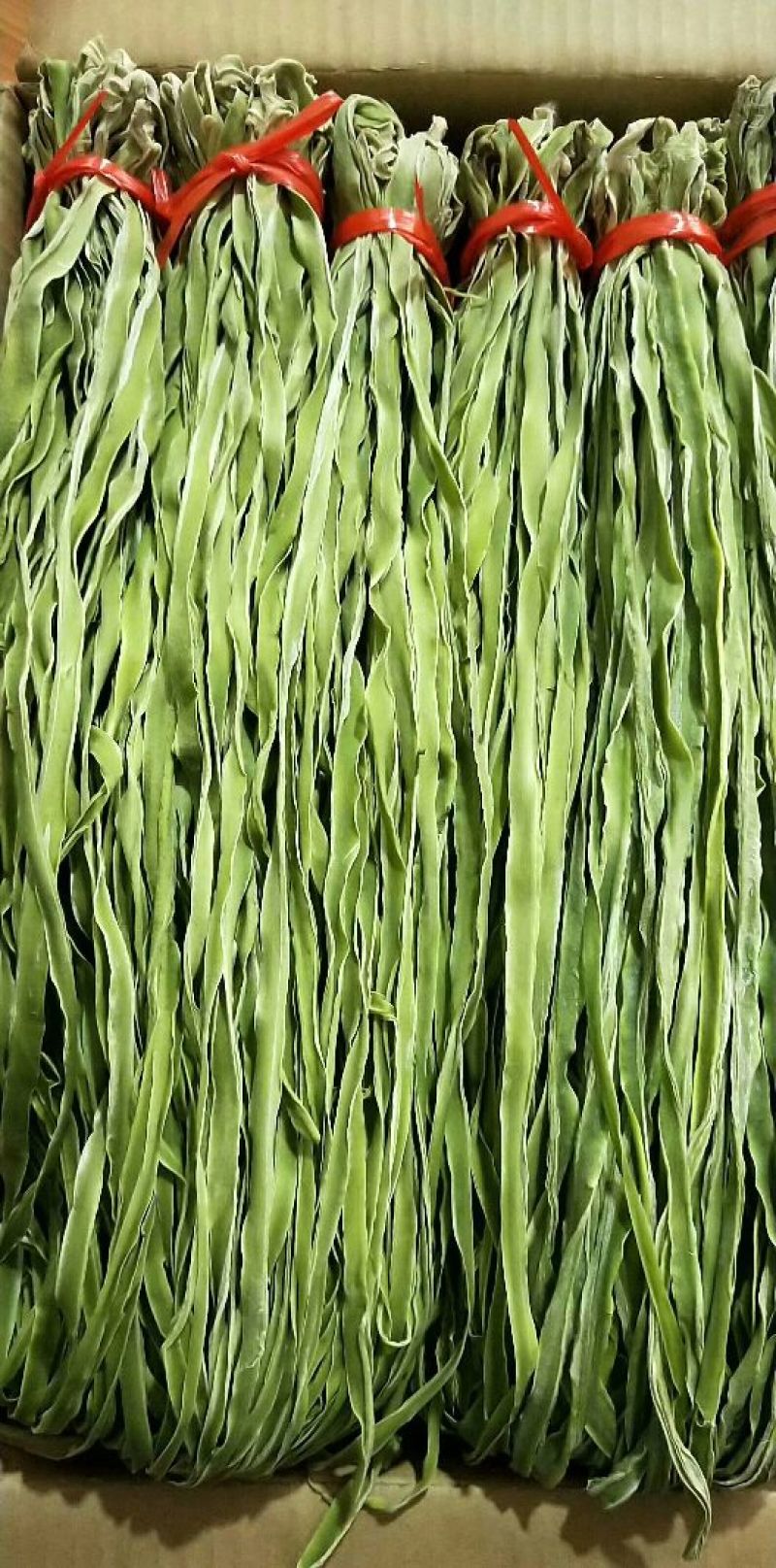 贡菜