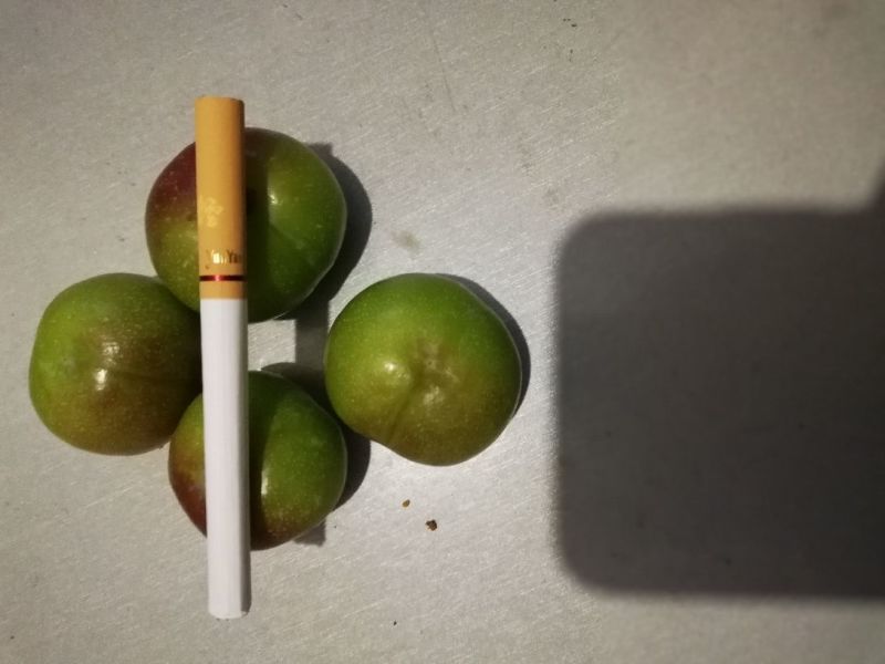 半边红李子，陆续成熟，口感好