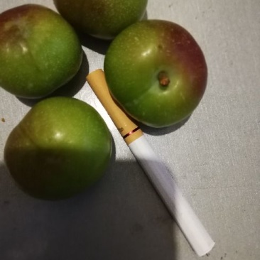 半边红李子，陆续成熟，口感好