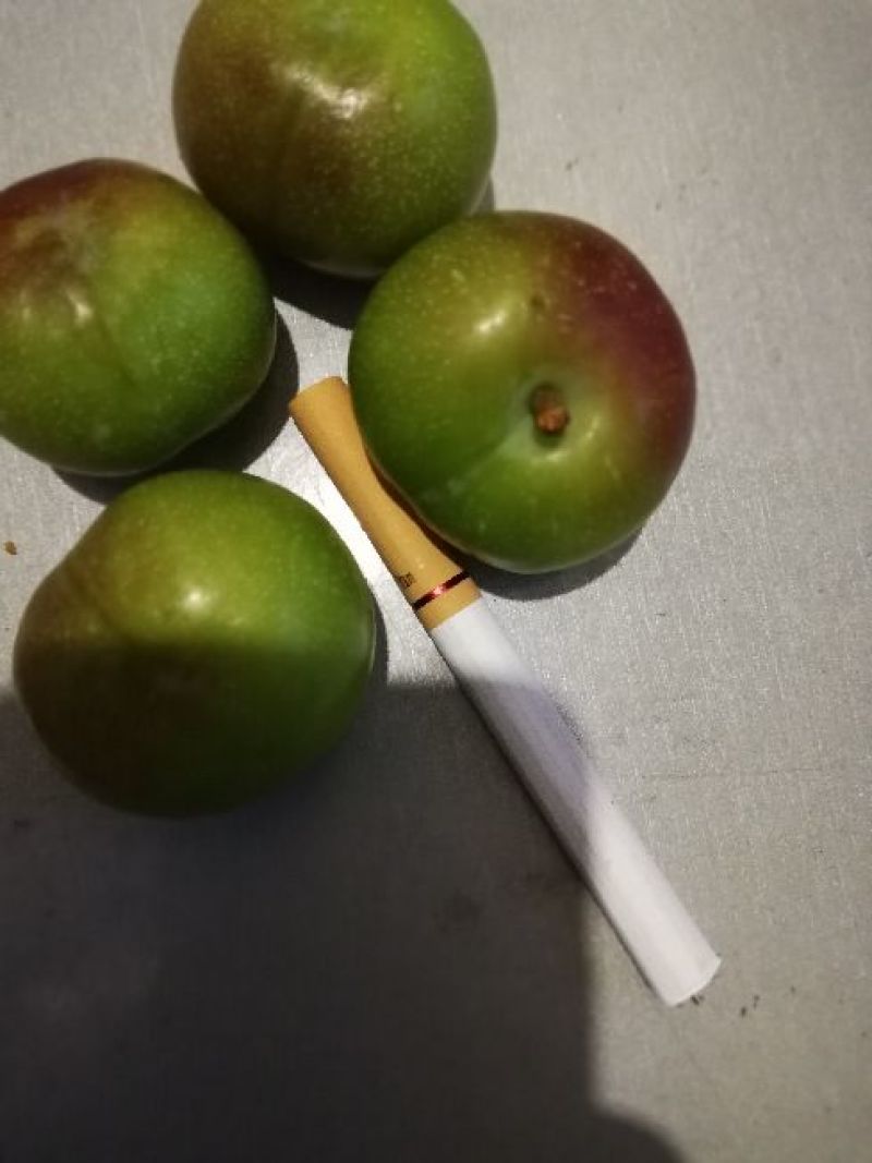半边红李子，陆续成熟，口感好
