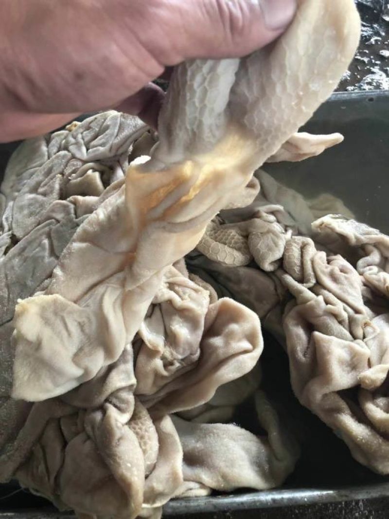 进口八分熟羊净肚
