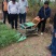 厂家直销韭菜收割机多功能蔬菜播种机