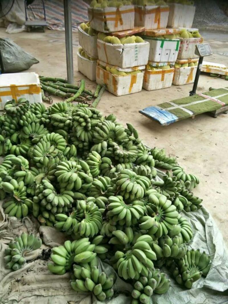 承接木瓜，小米蕉，电商，市场，厂房加工，包装、包装发货