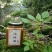 土蜂蜜现在全部低价出售需要的联系