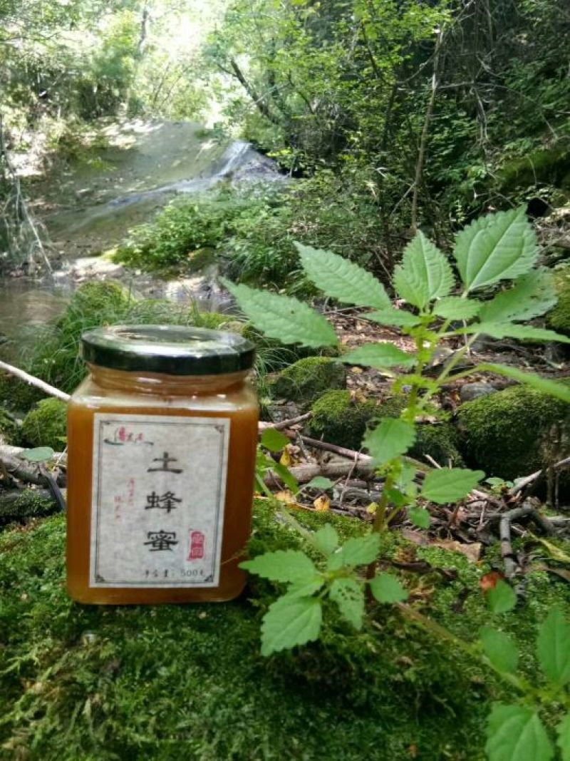 土蜂蜜现在全部低价出售需要的联系