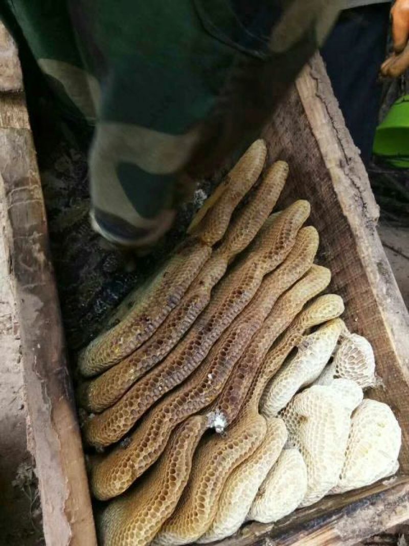 土蜂蜜现在全部低价出售需要的联系