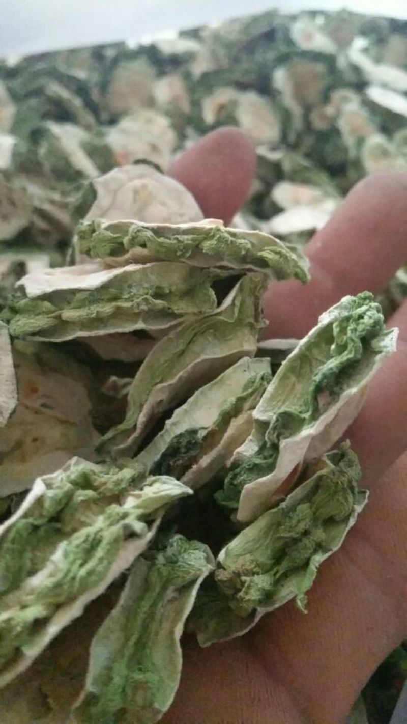 苦瓜干片