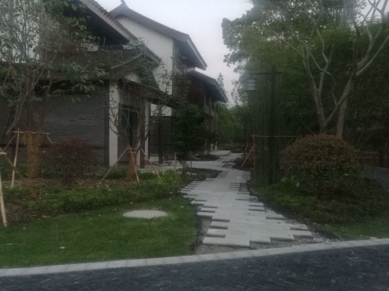 苏州翠冠梨源产地新鲜直供
