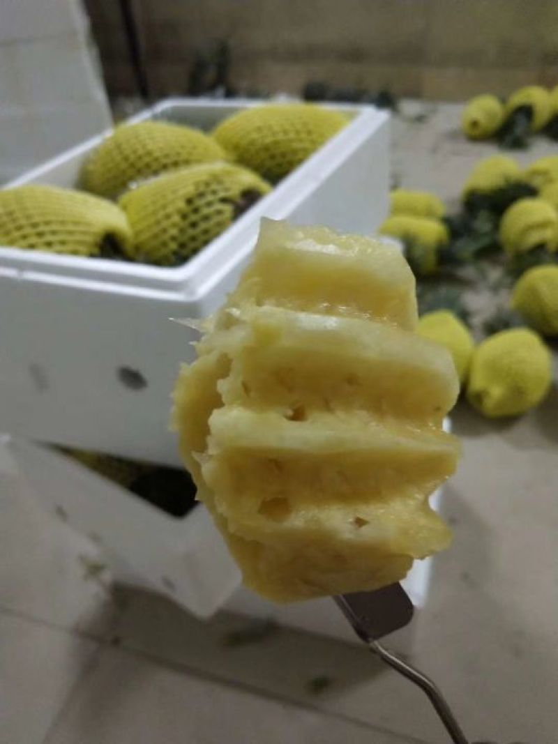 泰国香蕉菠萝