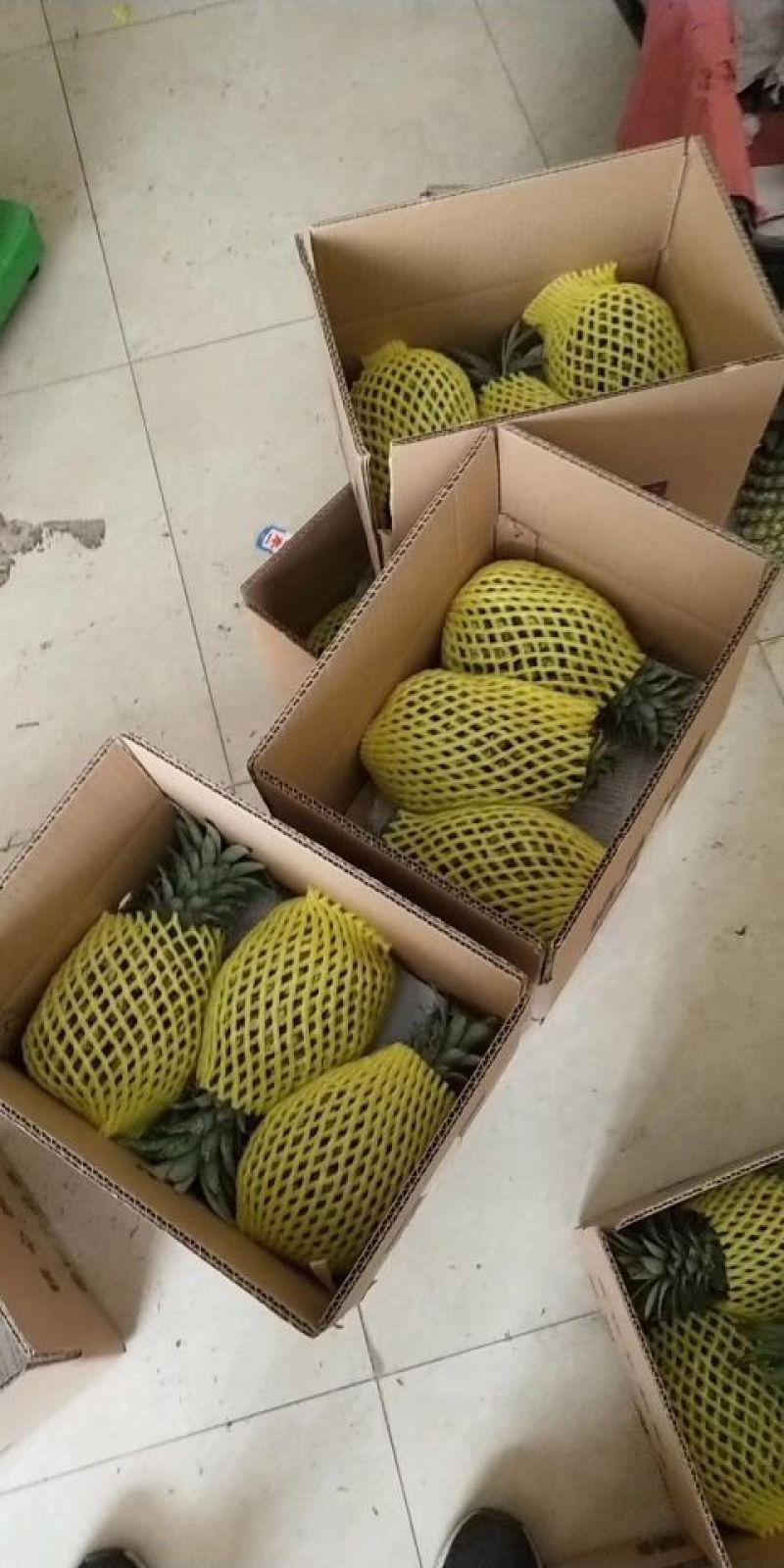 泰国香蕉菠萝