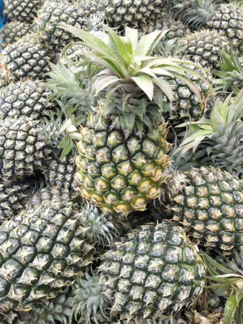 泰国香蕉菠萝