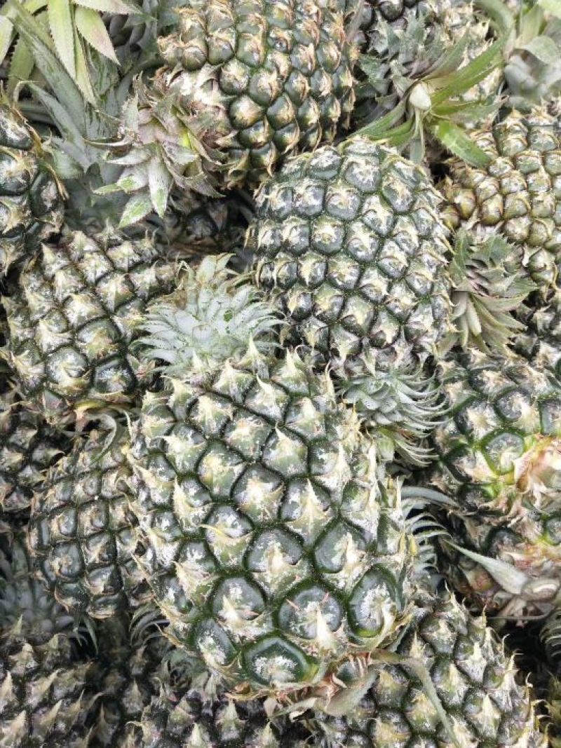 泰国香蕉菠萝