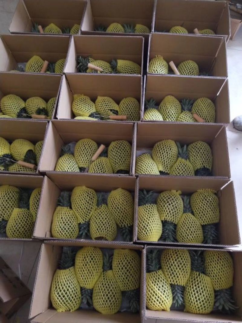 泰国香蕉菠萝