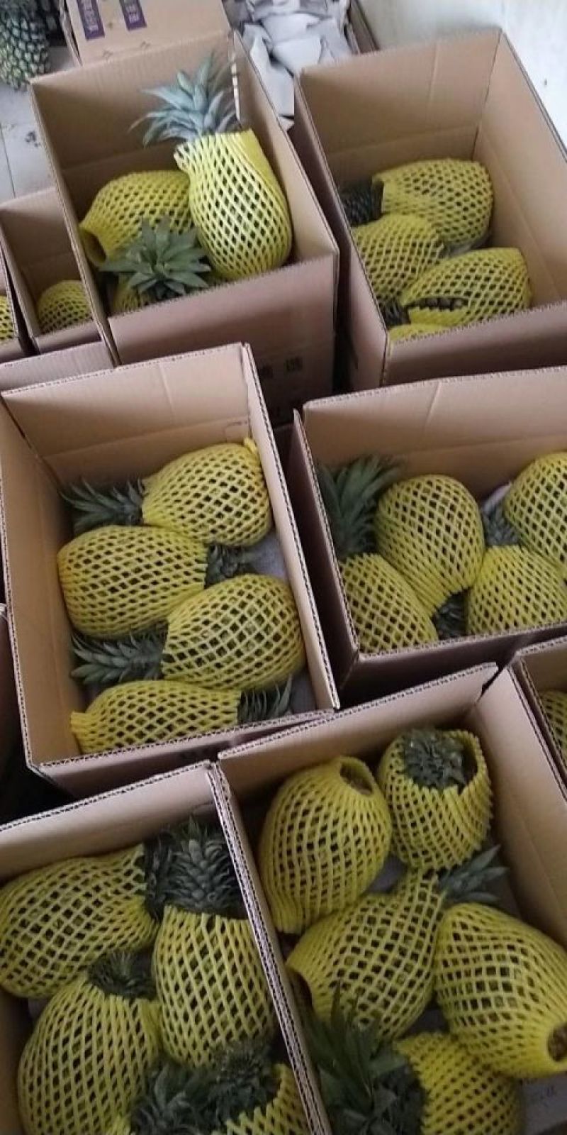 泰国香蕉菠萝