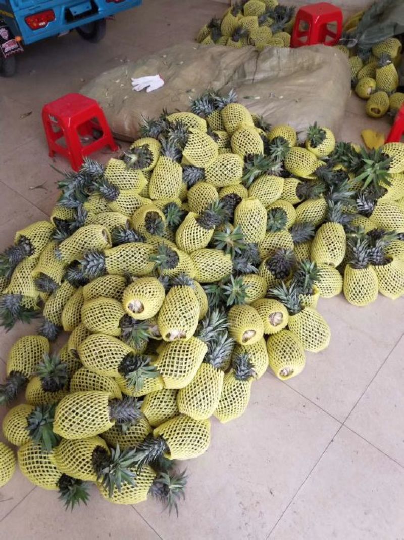 泰国香蕉菠萝