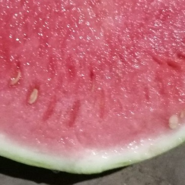 美都西瓜