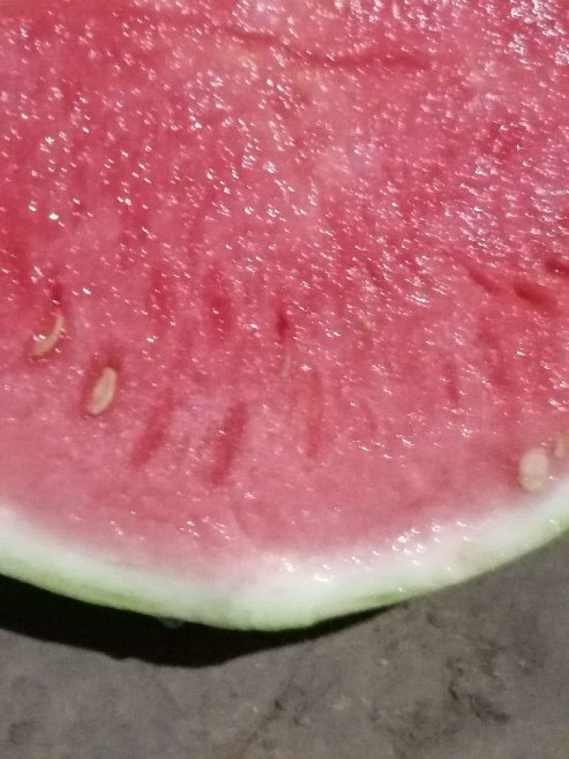美都西瓜