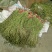 【热销】贡菜！邳州贡菜贡菜基地电视主播欢迎来电