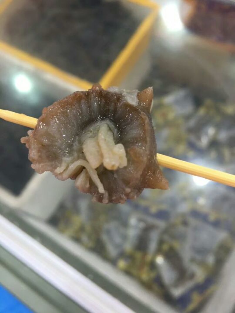 即食海参8-10一斤